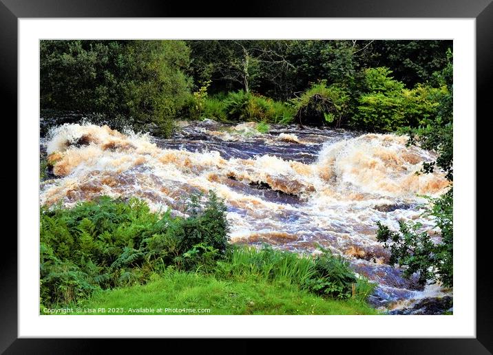 Wild River Framed Mounted Print by Lisa PB