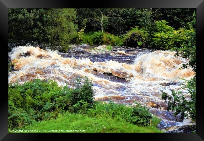 Wild River Framed Print by Lisa PB