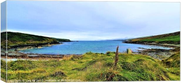 Panoramic View Canvas Print by Lisa PB