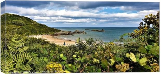 Grassy Beach Canvas Print by Lisa PB