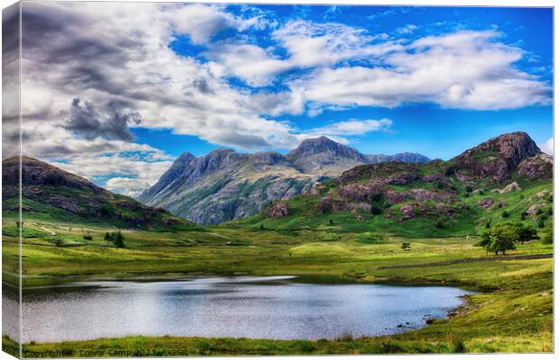 Serene Repose: Blea Tarn's Scenic Splendour Canvas Print by Trevor Camp