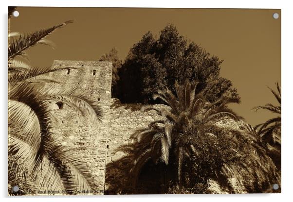 Alcazaba walls with trees, Malaga, sepia Acrylic by Paul Boizot