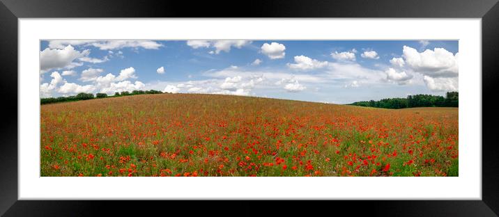 Field of Poppies Panorama Framed Mounted Print by Apollo Aerial Photography
