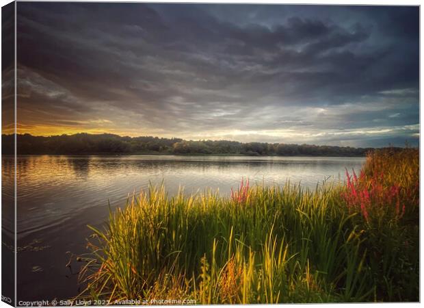 Whitlingham Broad Norfolk - The Golden Hour Canvas Print by Sally Lloyd