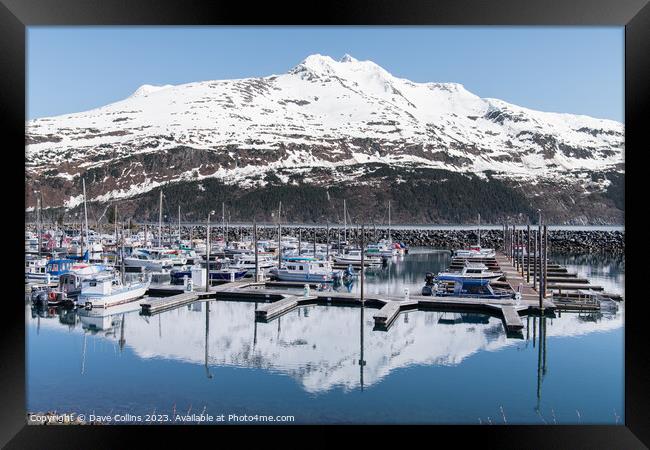 Snow covered mountain reflected in the calm waters of Whittier marina, Whittier, Alaska, USA Framed Print by Dave Collins