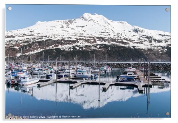 Snow covered mountain reflected in the calm waters of Whittier marina, Whittier, Alaska, USA Acrylic by Dave Collins