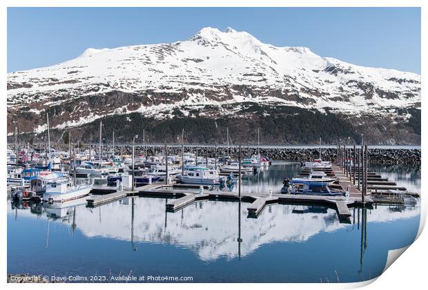 Snow covered mountain reflected in the calm waters of Whittier marina, Whittier, Alaska, USA Print by Dave Collins
