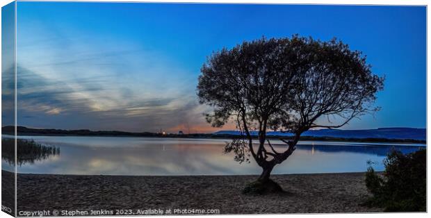 Kenfig Pool tree at sunset Canvas Print by Stephen Jenkins