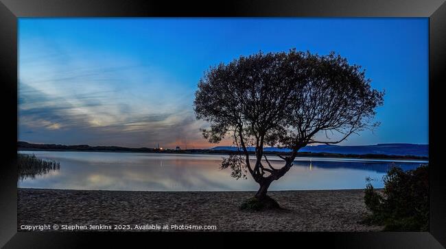 Kenfig Pool tree at sunset Framed Print by Stephen Jenkins