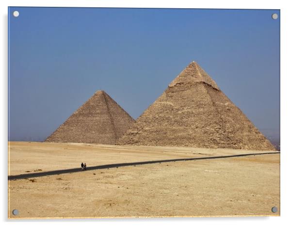 The Great Pyramids of Giza Acrylic by Antony Robinson