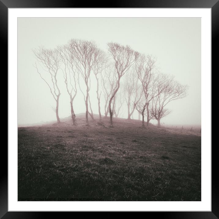 Misty Trees Framed Mounted Print by Dave Bowman