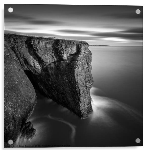 Fowlsheugh Cliffs Acrylic by Dave Bowman