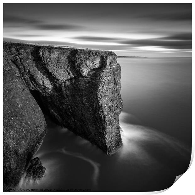 Fowlsheugh Cliffs Print by Dave Bowman