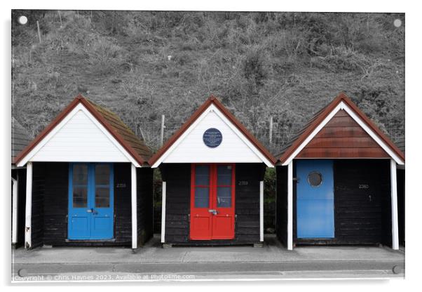 Beach Huts below the cliff Acrylic by Chris Haynes
