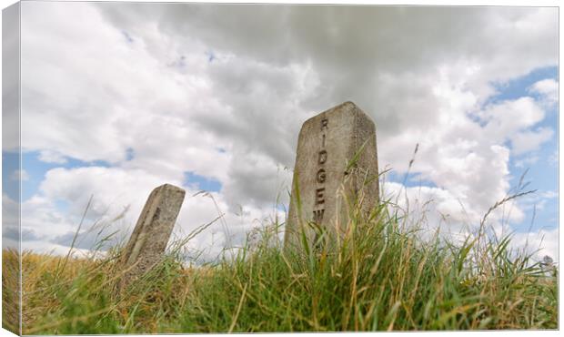 Ridgeway Canvas Print by Mark Godden