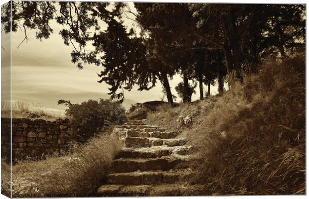 Steps to Acropolis, Rhodes, sepia Canvas Print by Paul Boizot