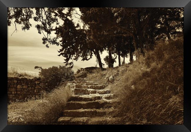 Steps to Acropolis, Rhodes, sepia Framed Print by Paul Boizot