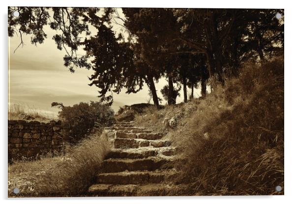 Steps to Acropolis, Rhodes, sepia Acrylic by Paul Boizot