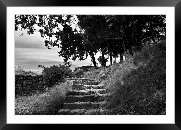 Steps to Acropolis, Rhodes, monochrome Framed Mounted Print by Paul Boizot