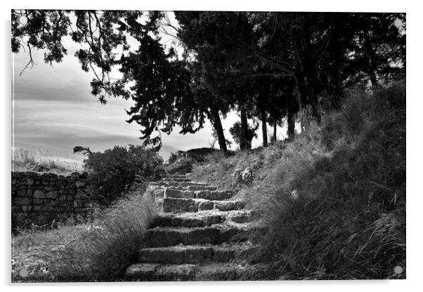 Steps to Acropolis, Rhodes, monochrome Acrylic by Paul Boizot