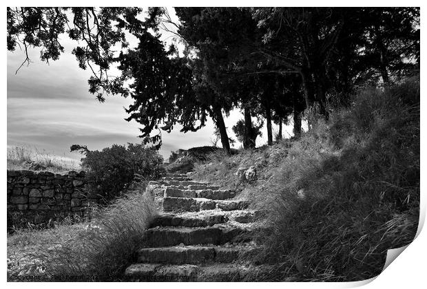 Steps to Acropolis, Rhodes, monochrome Print by Paul Boizot