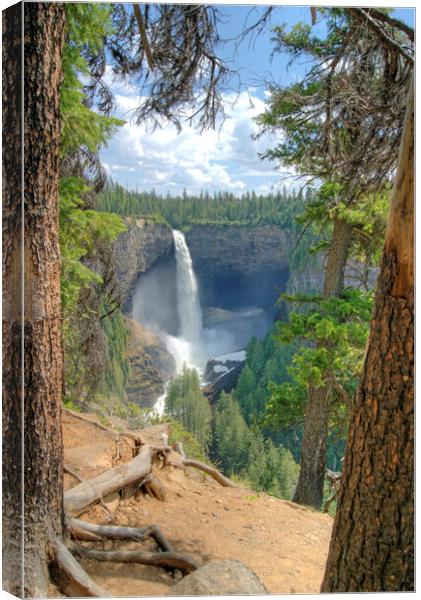 Helmcken Falls, British Columbia, Canada Canvas Print by David Birchall
