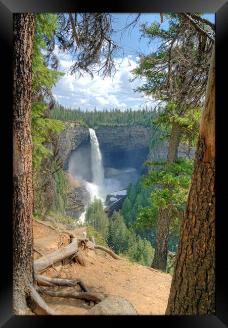 Helmcken Falls, British Columbia, Canada Framed Print by David Birchall