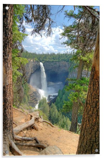 Helmcken Falls, British Columbia, Canada Acrylic by David Birchall