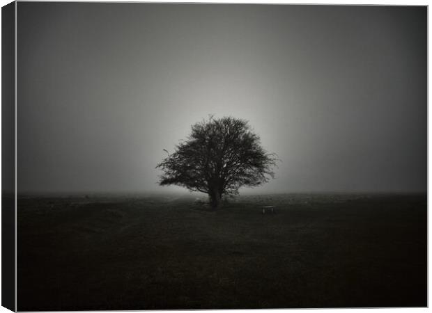 Lone tree in fog Canvas Print by Paul Boizot
