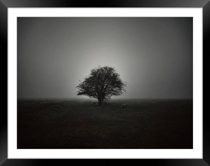Lone tree in fog Framed Mounted Print by Paul Boizot