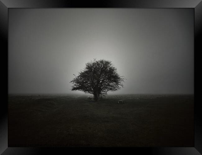 Lone tree in fog Framed Print by Paul Boizot