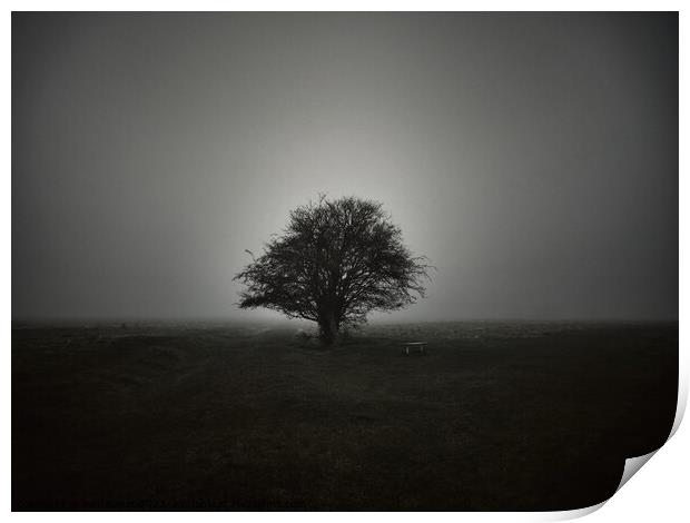 Lone tree in fog Print by Paul Boizot