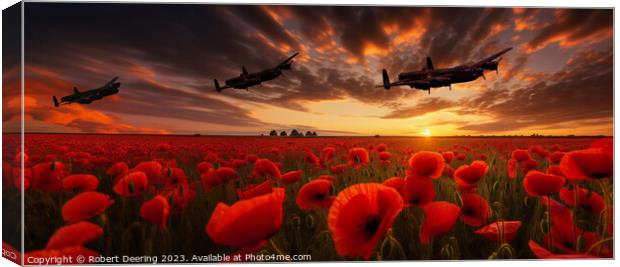 Warplanes Over Poppies, Sunset Canvas Print by Robert Deering