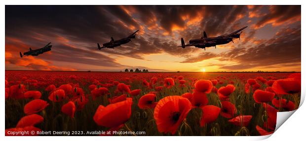 Warplanes Over Poppies, Sunset Print by Robert Deering