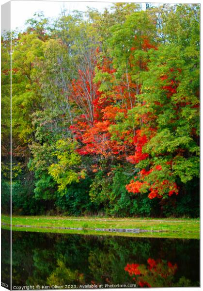Autumn's Mirror in Jackson Park Canvas Print by Ken Oliver