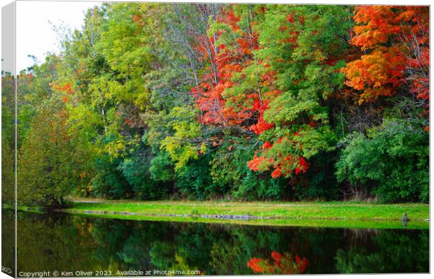 Autumn's Mirror: Jackson Park Pond Canvas Print by Ken Oliver