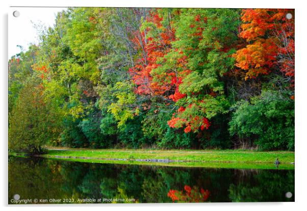 Autumn's Mirror: Jackson Park Pond Acrylic by Ken Oliver