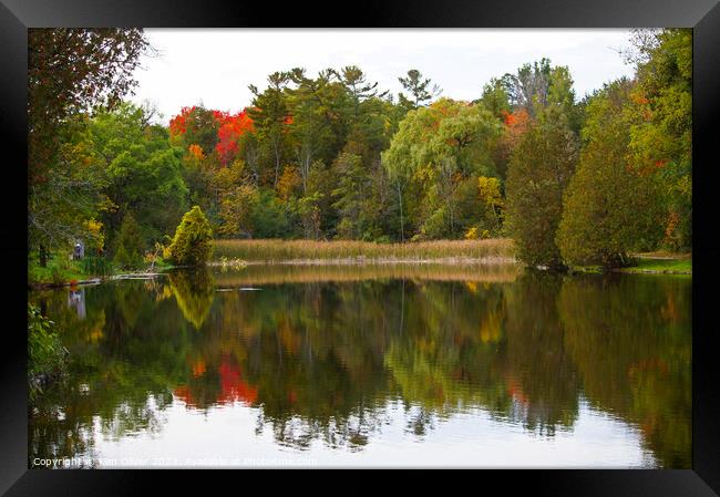 Autumnal Splendour in Jackson Park Framed Print by Ken Oliver
