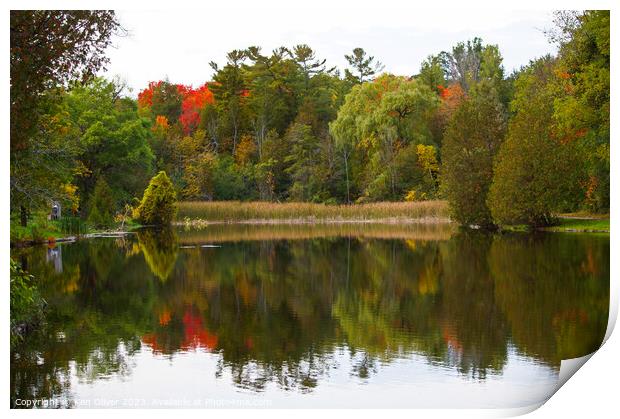 Autumnal Splendour in Jackson Park Print by Ken Oliver