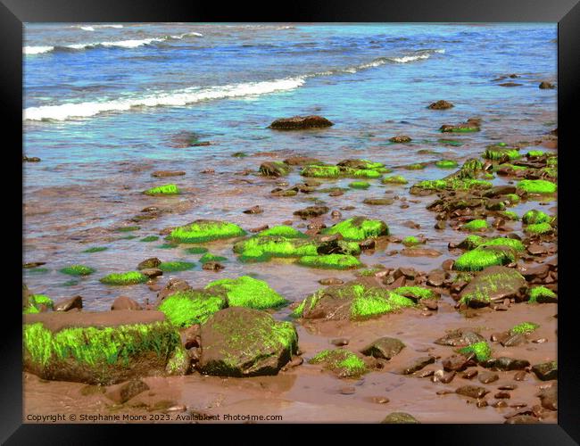 Bright green seaweed Framed Print by Stephanie Moore