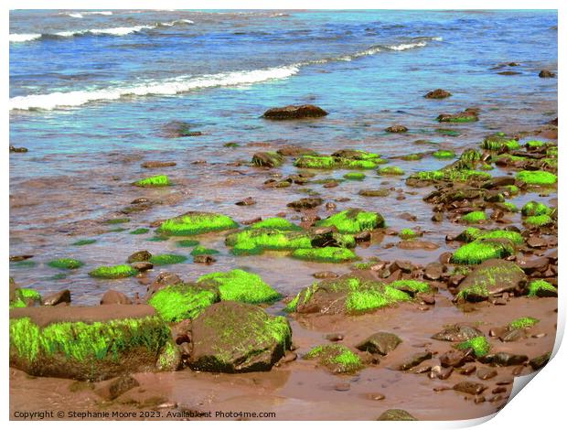 Bright green seaweed Print by Stephanie Moore