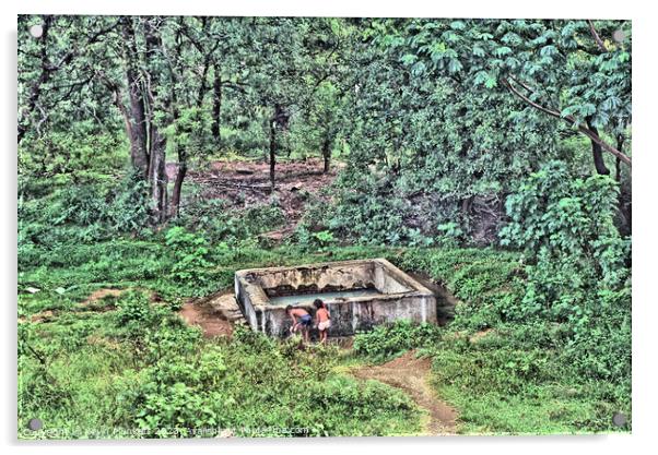 A water tank in a forest. Sri Lanka Acrylic by Kevin Plunkett