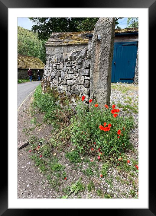 Derbyshire's Timeless StoneWall Adorned with Poppy Framed Mounted Print by Holly Burgess