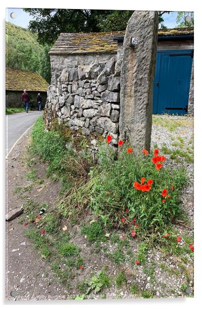Derbyshire's Timeless StoneWall Adorned with Poppy Acrylic by Holly Burgess
