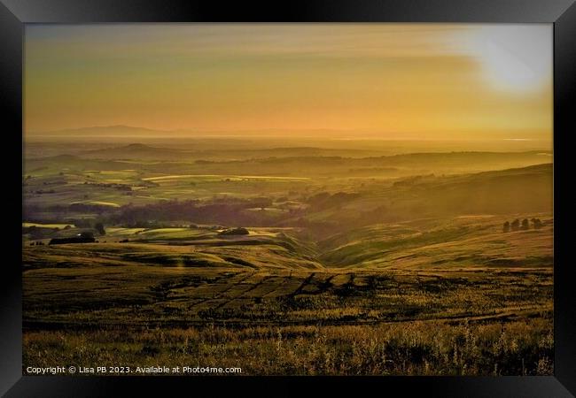 Hillside Sunset Framed Print by Lisa PB
