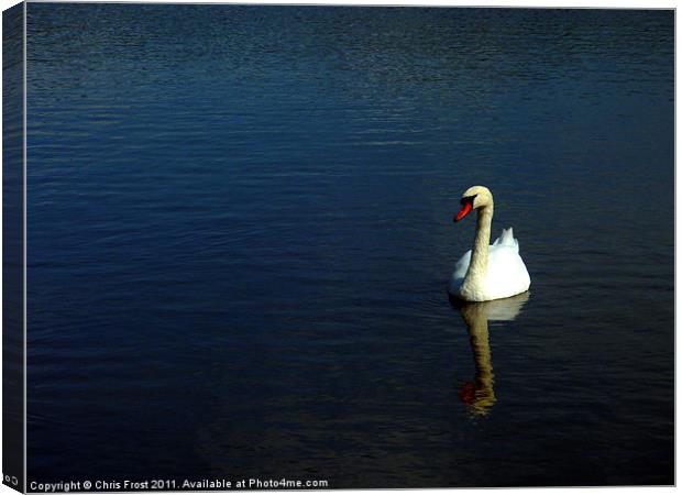 Loneliness Canvas Print by Chris Frost