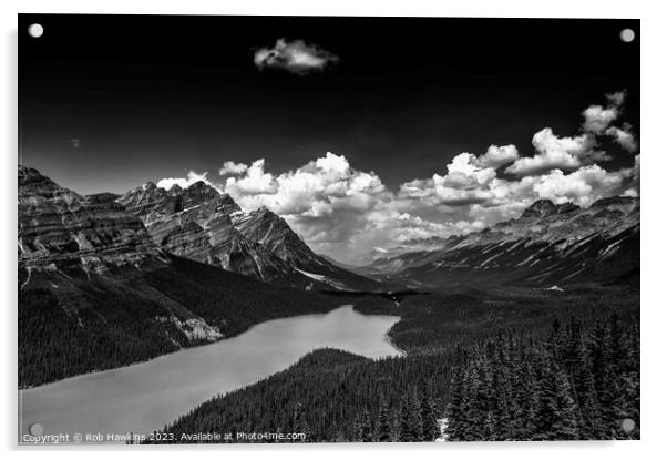 Lake Peyto Monoscape Acrylic by Rob Hawkins