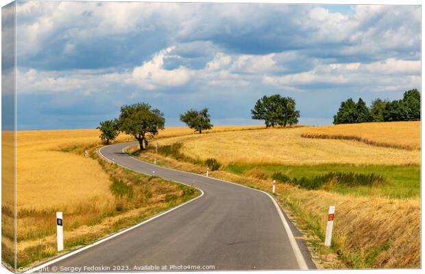 Road among summer ripe fields and cherry trees Canvas Print by Sergey Fedoskin