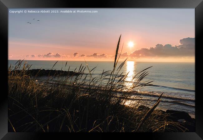 Warm Sunrise at Potters Resort, Hopton-on-Sea Framed Print by Rebecca Abbott
