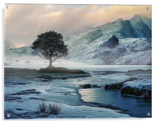 A TREE AMONGST ICE Acrylic by Tony Sharp LRPS CPAGB